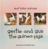 Life Cycle of a Guinea Pig (Heinemann by Royston, Angela
